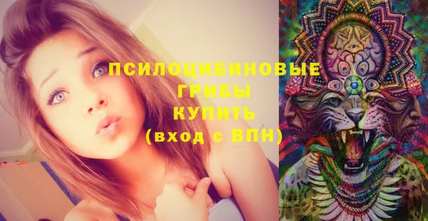 шишки Алексин