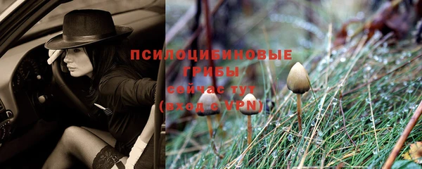 прущие крисы Алзамай