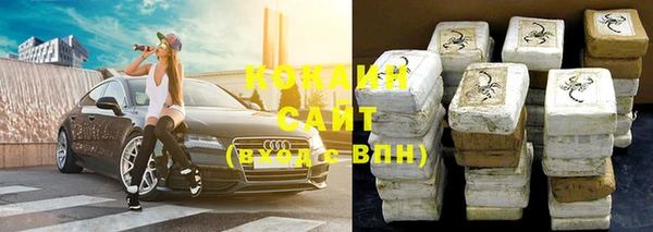 шишки Алексин