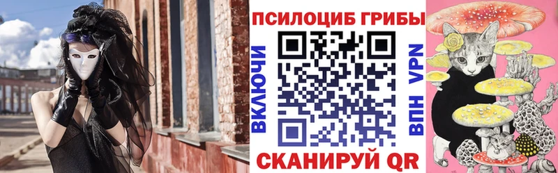 Галлюциногенные грибы Psilocybe сколько стоит блэк спрут Козловка